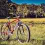 DSC 6278 copy.jpg?VersionId=CX0oCHoLDjdFnL